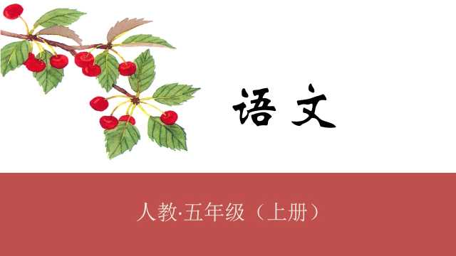 小学语文习作《我的心爱之物课件》PPT模板