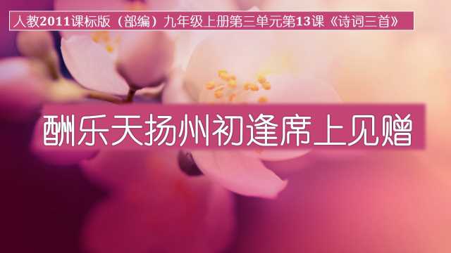 酬乐天扬州初逢席上见赠PPT模板