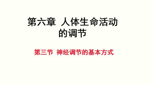 七年级生物人体生命活动的调节PPT模板20230622